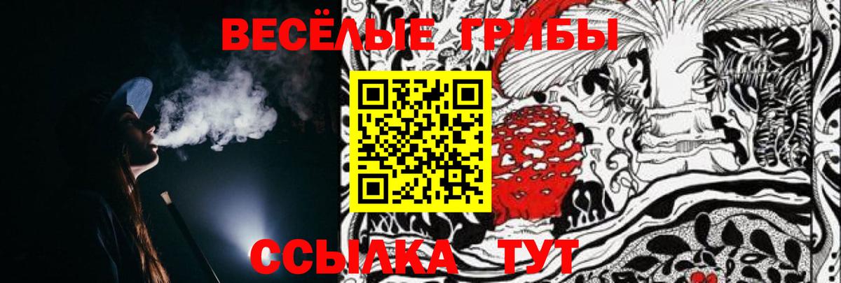 Псилоцибиновые грибы MAGIC MUSHROOMS  Вход с VPN  Тара 